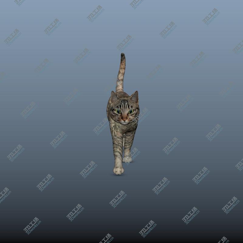 images/goods_img/202104092/Cat - Rigged, Animated 3D/4.jpg